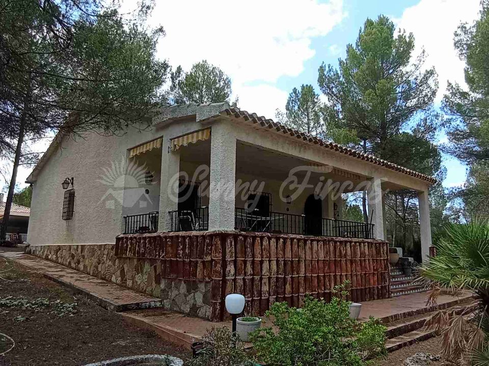 Landejendom i Ayora, Valencia - foto 1